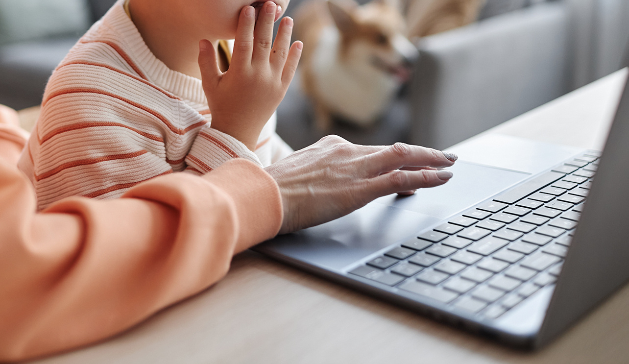 Mom with kid in computer